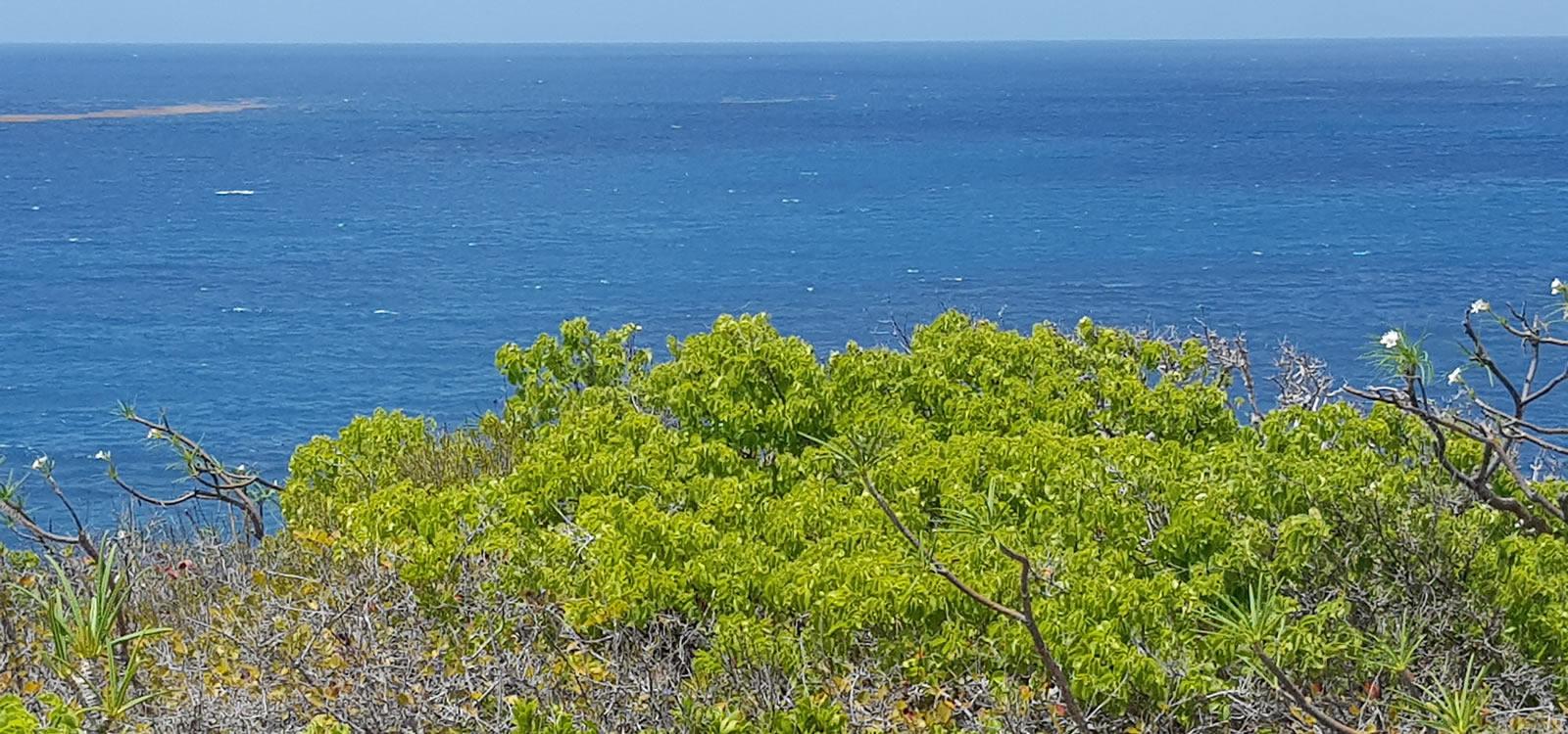 0.45 Acres of Land for Sale, Captains Ridge, Anguilla — photo 5