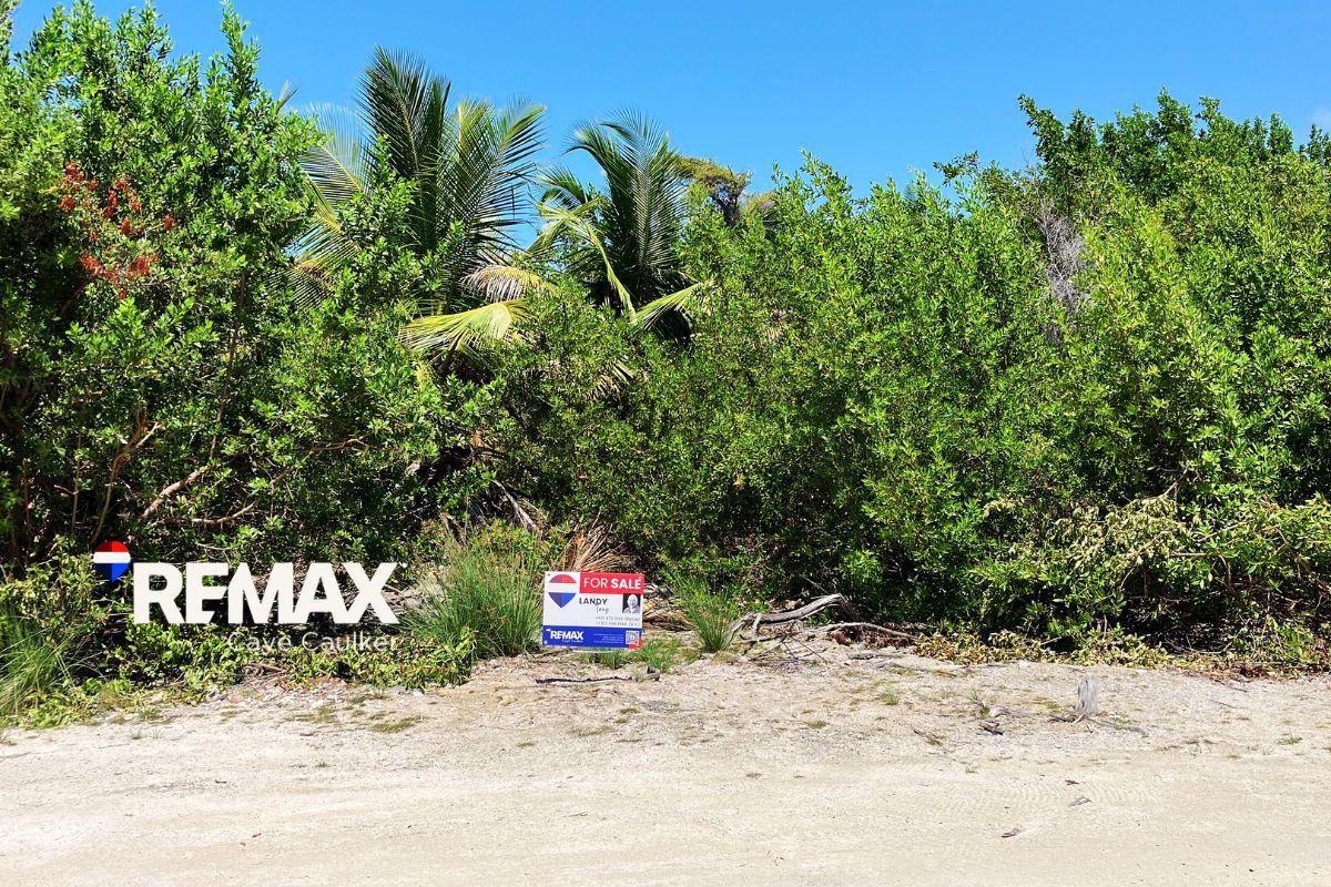 Prime North Caye Caulker Lot – High, Dry, and Ready for Development — photo 1