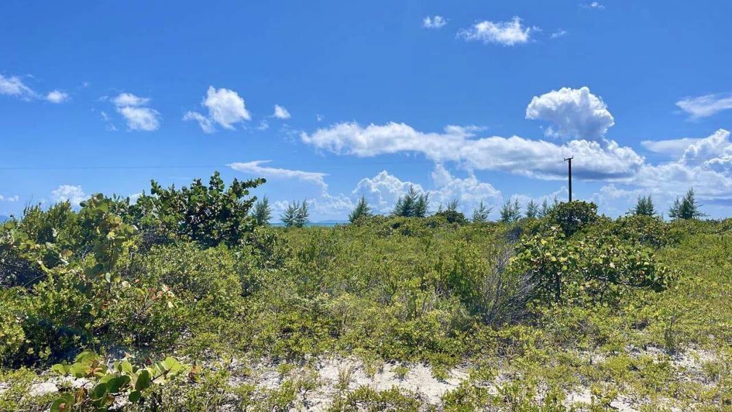 0.517 Acres Anegada — photo 2