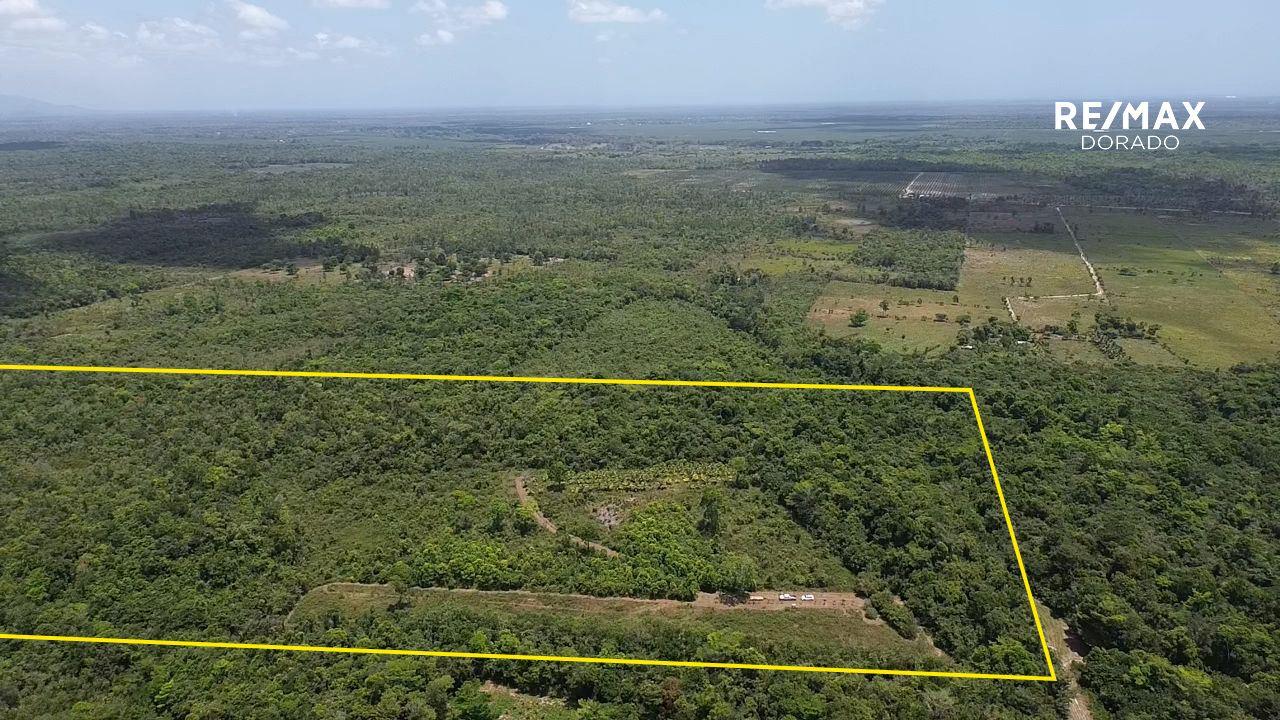 50 Acres Trio Area, Toledo, Belize — photo 4