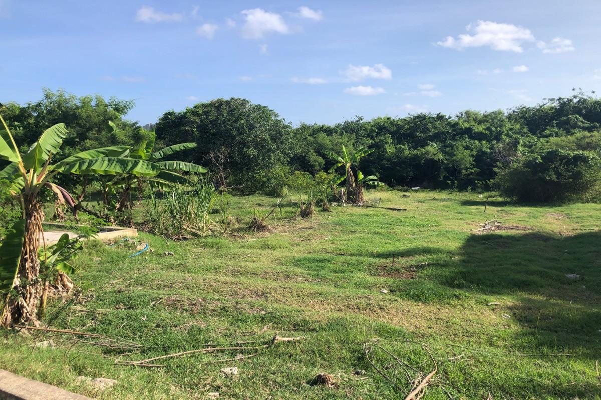 Two residential lots for sale in St Philip, Barbados — photo 1