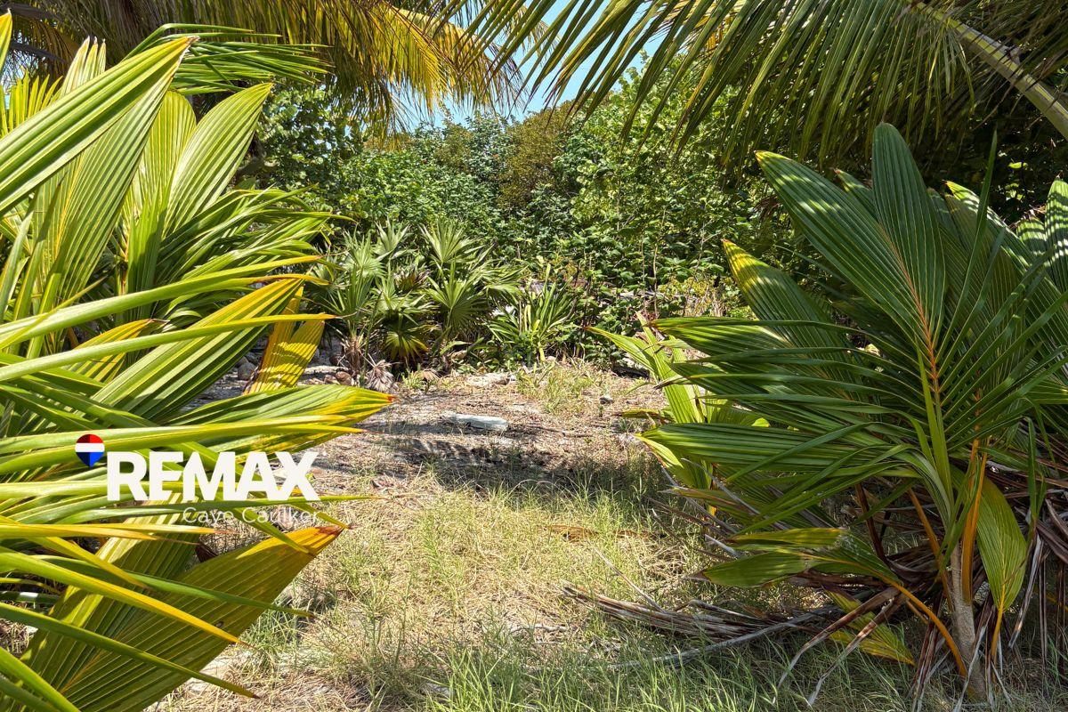 Waterfront Lot for Sale on North Caye Caulker — photo 4
