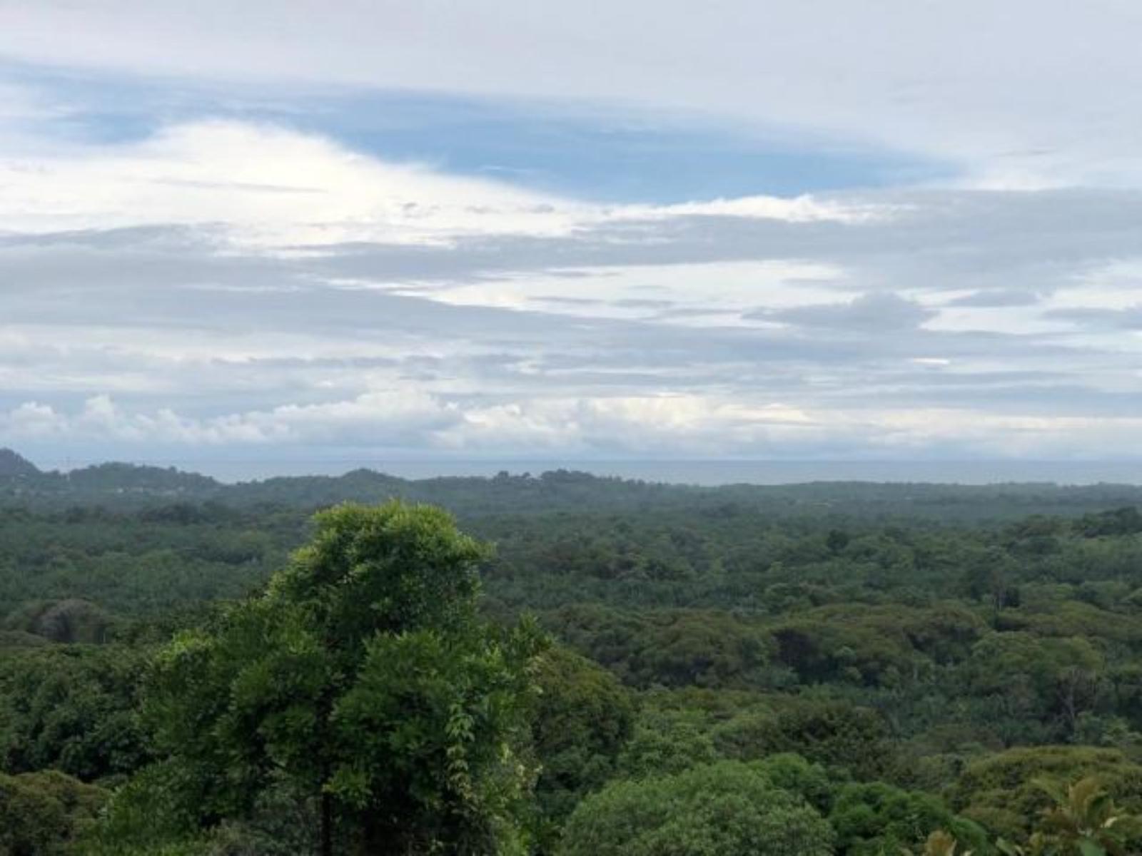 214 Acres Land for Sale in Naranjito, Quepos, Puntarenas, Costa Rica — photo 3