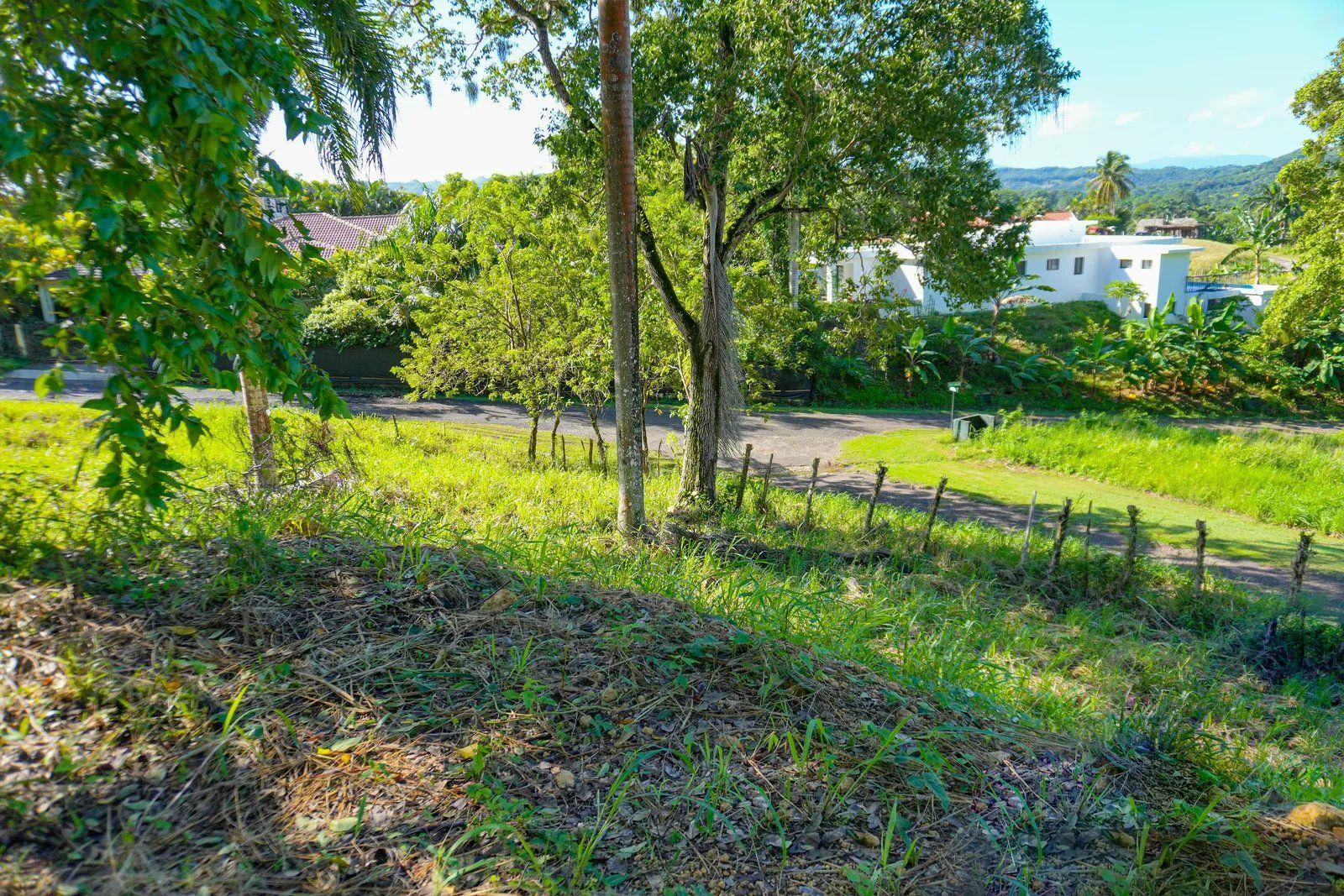 Lot, Terramar Estates, Sosúa, Tropical and Valley Views — photo 4