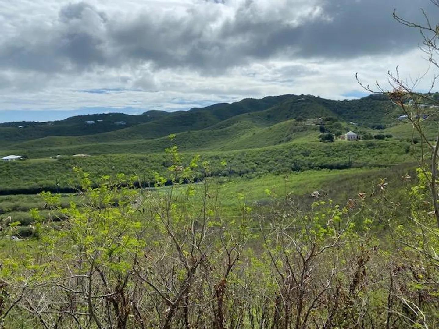 0.69 Acre Homesite in Green Cay, East End — photo 2