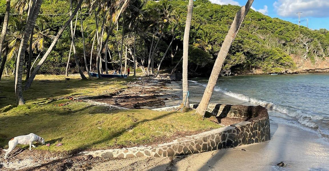 12.4 Acre Boutique Hotel for Sale, Spring Estate, Bequia — photo 5