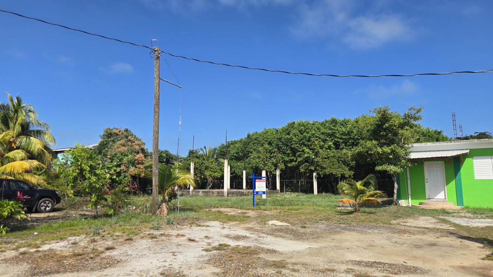 Residential Parcel with foundation — photo 3