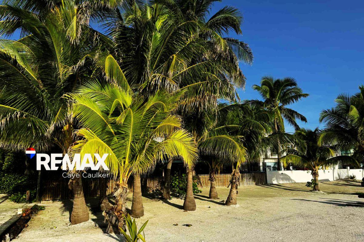 CAYE CAULKER OCEANFRONT INVESTMENT – 3 ADJACENT PROPERTIES IN TOP LOCATION — photo 3