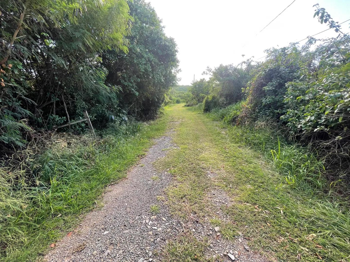 1.43 Acre Homesite Lot in Cotton Valley, US Virgin Islands — photo 3