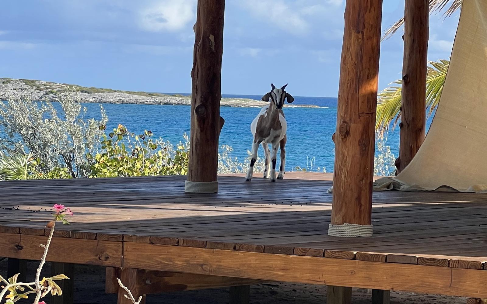 12 Acre Private Island for Sale, Jumentos Cays near Ragged Island, Bahamas — photo 3