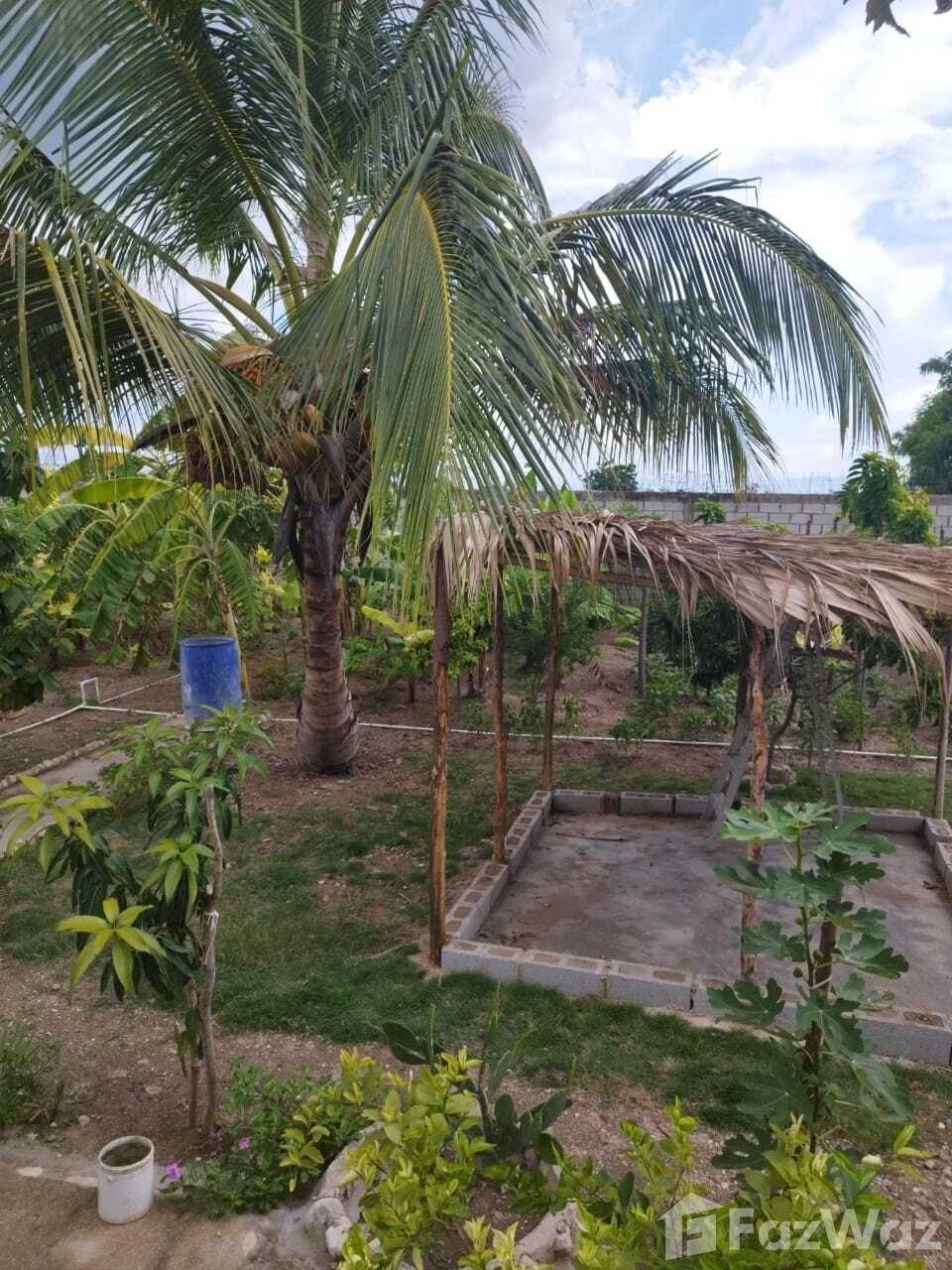 3 Bedroom House for Sale in Cabral, Barahona — photo 3