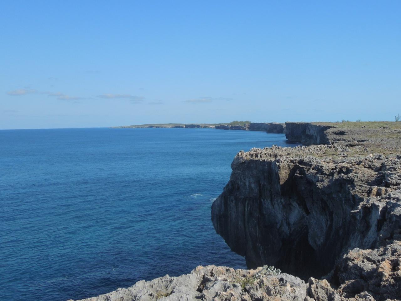 WHALE POINT — photo 1
