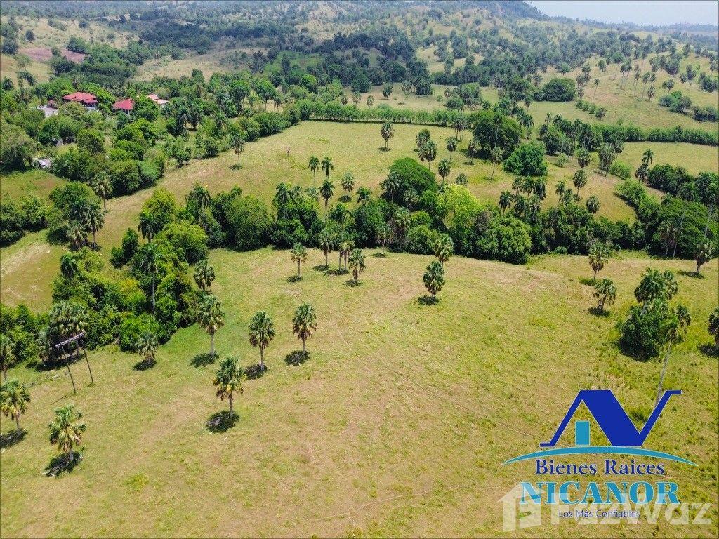 1,010 acre farm for sale in Imbert, Puerto Plata, Dominican Republic — photo 4