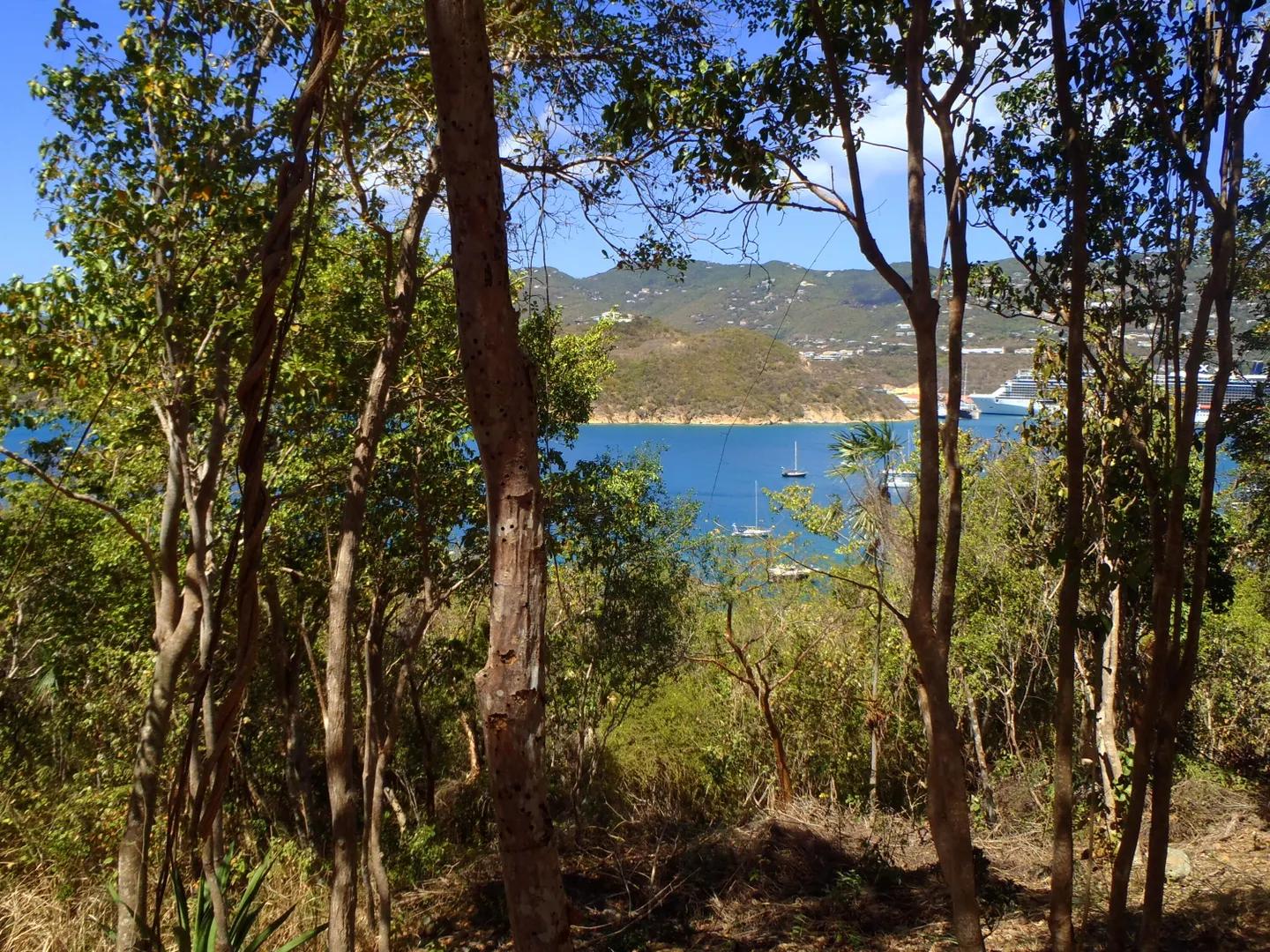 Residential Lot on Water Island — photo 2