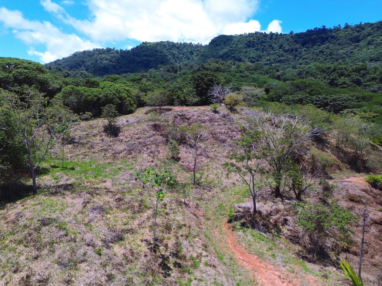 61.78 Acres of Farm Land for Sale, Escaleras, Dominical, Puntarenas, Costa Rica — photo 4