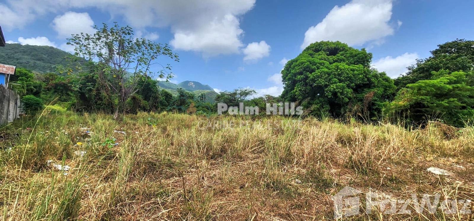 Land for sale at Puerto Plata in San Felipe De Puerto Plata, Puerto Plata, Dominican Republic — photo 3