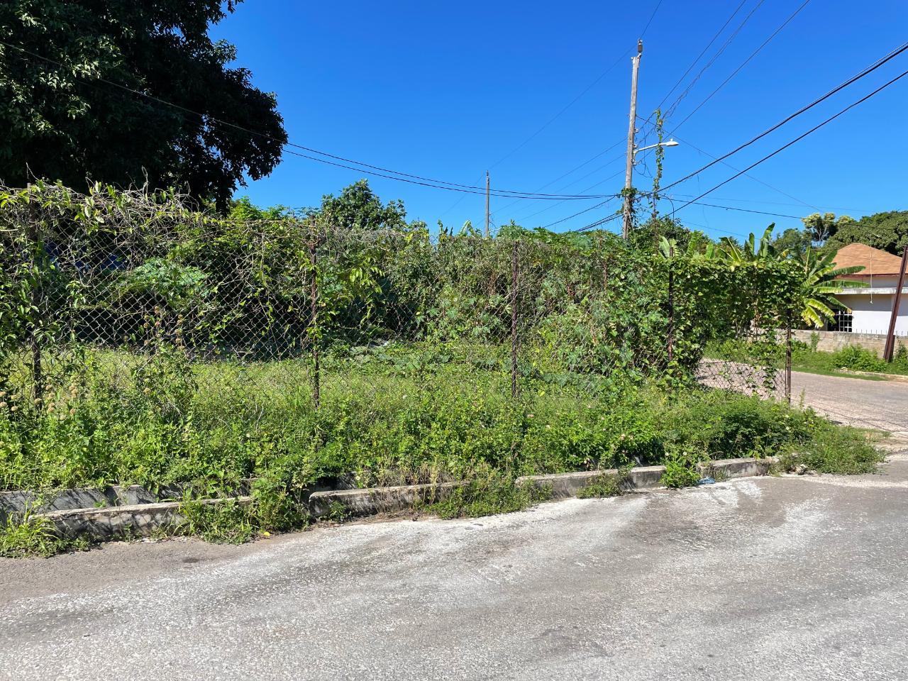 NORTHERN ESTATES St. James Little River — photo 4