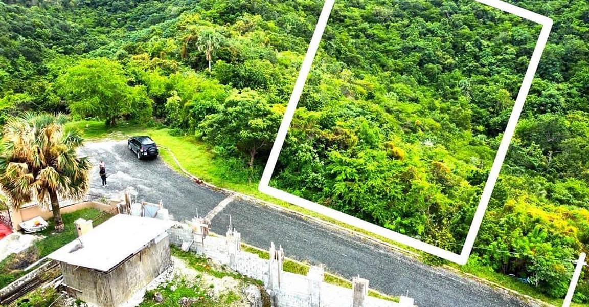 0.51 Acre Lot for Sale in Anchor, Culloden, Westmoreland, Jamaica — photo 5