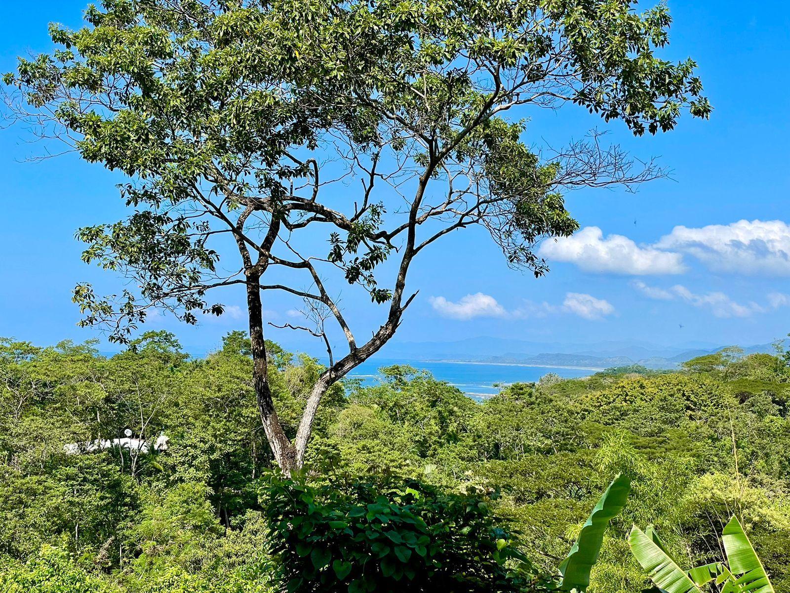 7,103 Sq M Ocean-View Lot for Sale, Manzanillo, Santa Teresa, Puntarenas, Costa Rica — photo 1