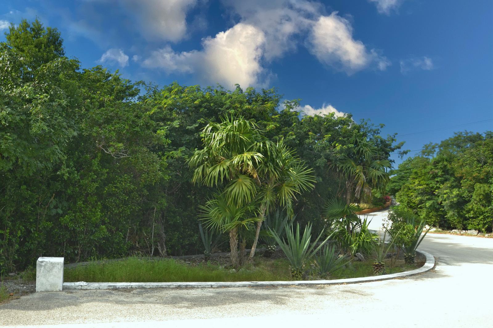 Thompson Cove Vacant Land — photo 1