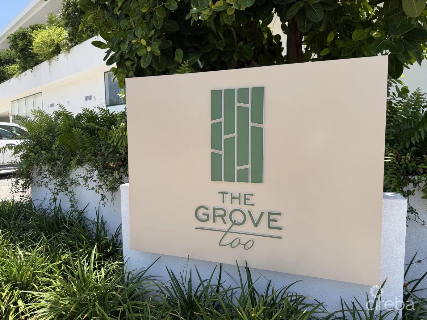 Grove Too Commercial Office Space - Rare Corner Location — photo 1
