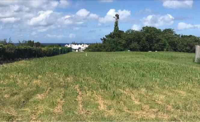 Land for sale in Paynes Bay — photo 1
