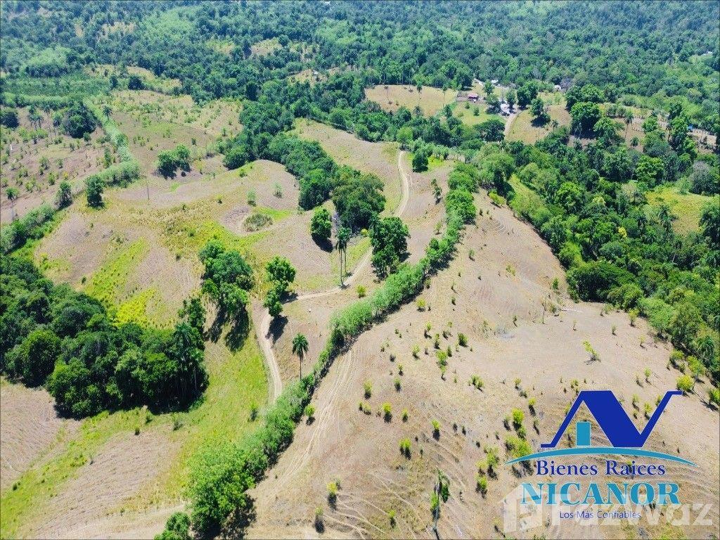Cattle ranch for sale of 846 tareas in Guananico — photo 4