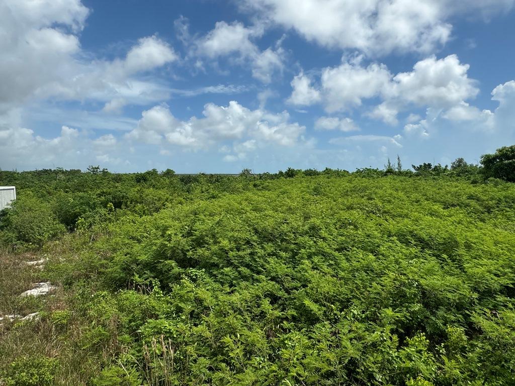 Vacant Land for sale - Lot 38b Sweetings Cay — photo 3