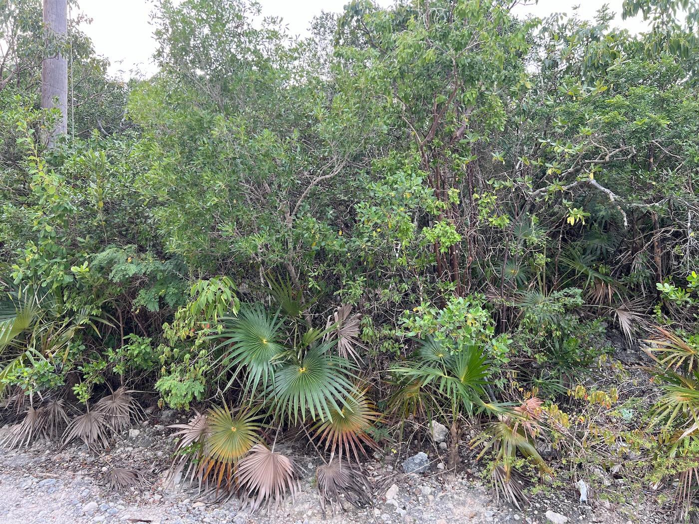 Vacant Land for sale - Lot 17293, Bahama Sound 18 — photo 4