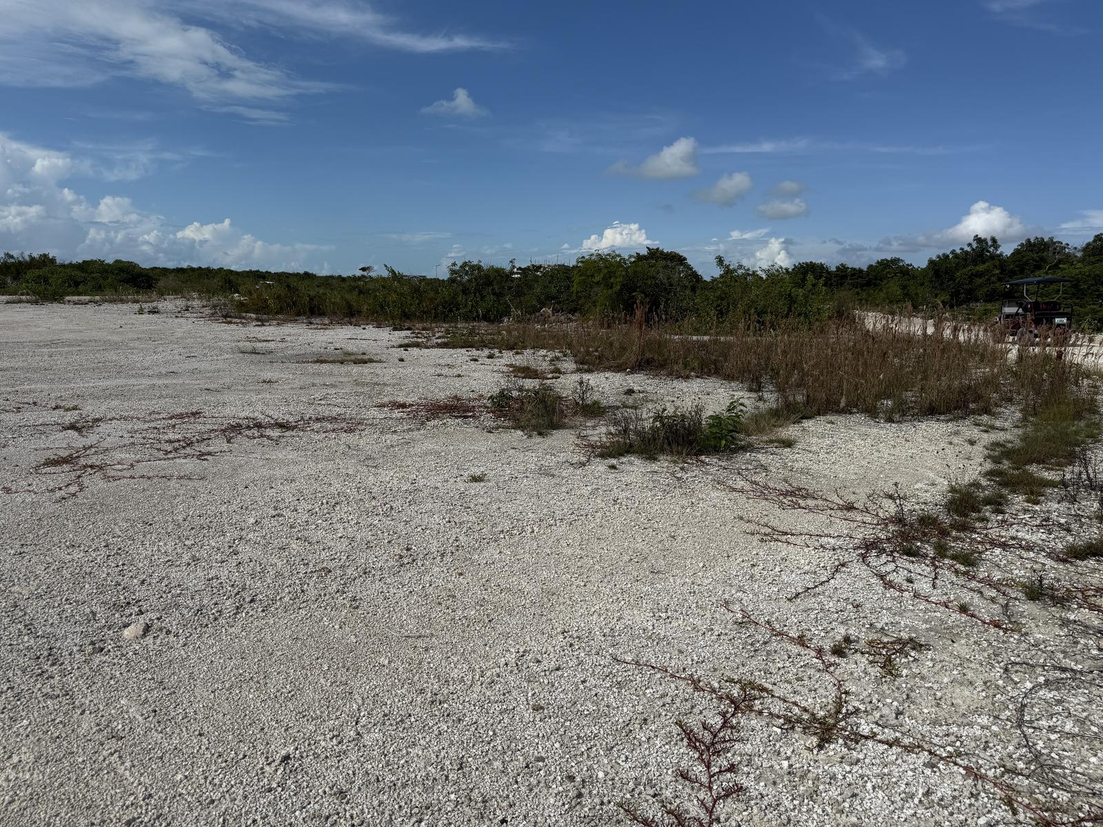 Grand Mayan Estates - Prime Location — photo 3
