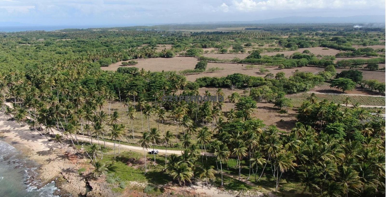 Prime Beachfront Development Lot for Sale in Cabrera, Dominican Republic — photo 2