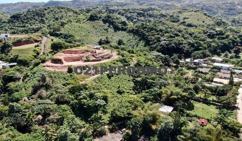 Breathtaking Ocean View Lots for sale in Las Terrenas — photo 5