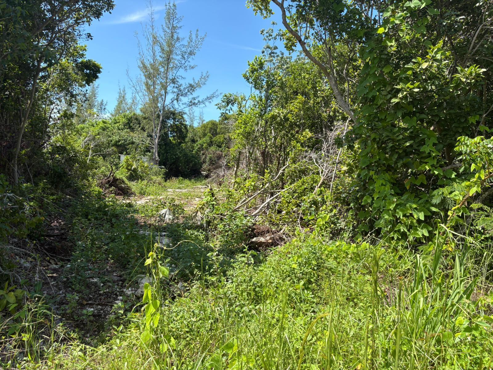 OFF ADELAIDE BEACH ROAD — photo 2