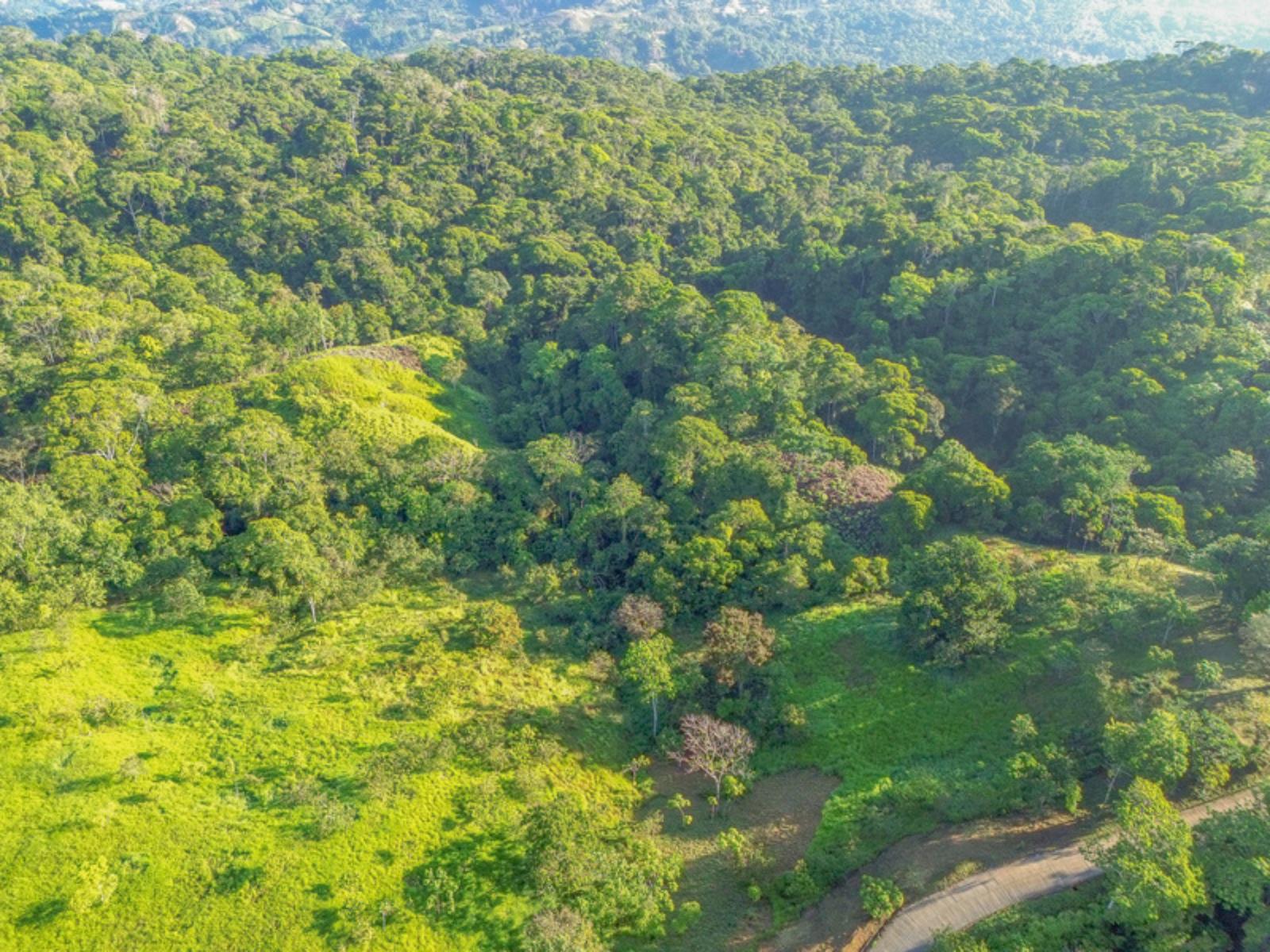 55 Acres of Ocean-View Land for Sale, Escaleras, Dominical, Puntarenas, Costa Rica — photo 4