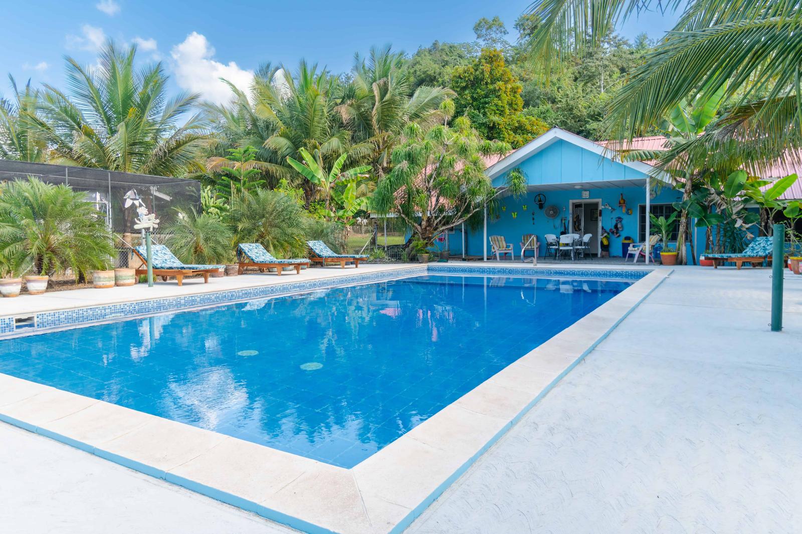 Private 2.18-Acre Estate with Pool, Guest House & Workshop | Teakettle Village, Cayo District — photo 2