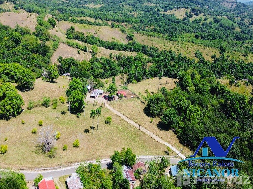 Cattle Ranch for Sale in Guananico, Puerto Plata — photo 3