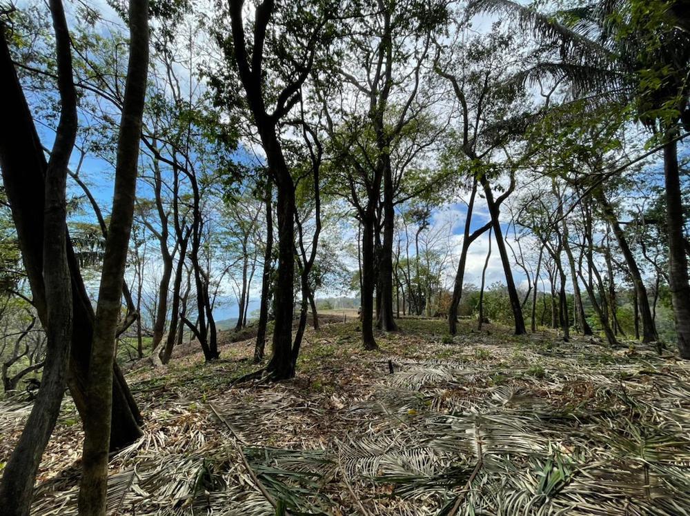 3,092 Sq M Lot for Sale, Maramar, Santa Teresa, Puntarenas, Costa Rica — photo 2