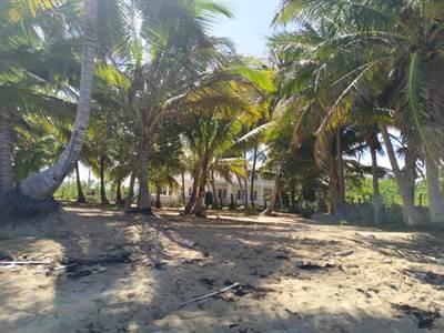 5 bedroom property for sale — Uvero Alto Beach Front Villa With Land in Macao-Uvero Alto, East Coast, DO — photo 3