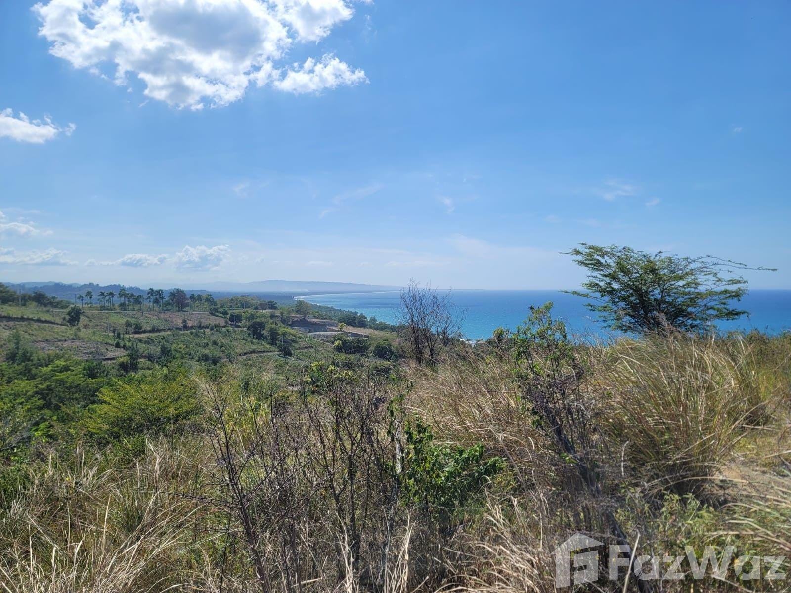 1,120 SqM Land for Sale in Gaspar Hernandez — photo 5