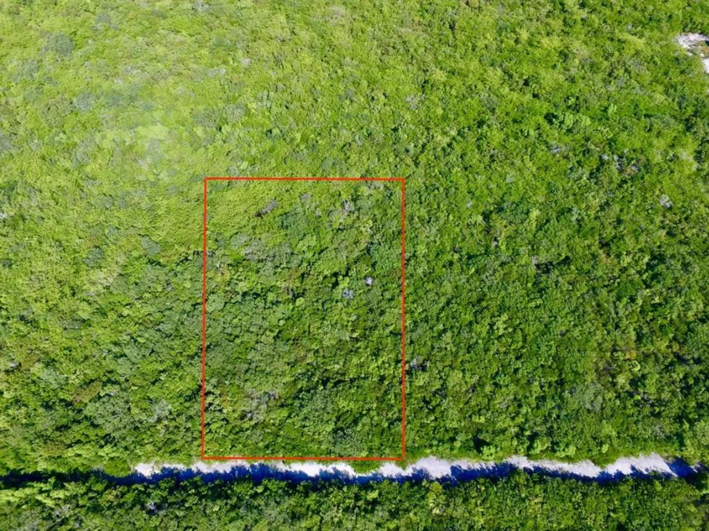 Bahama Sound Land Plot — photo 5