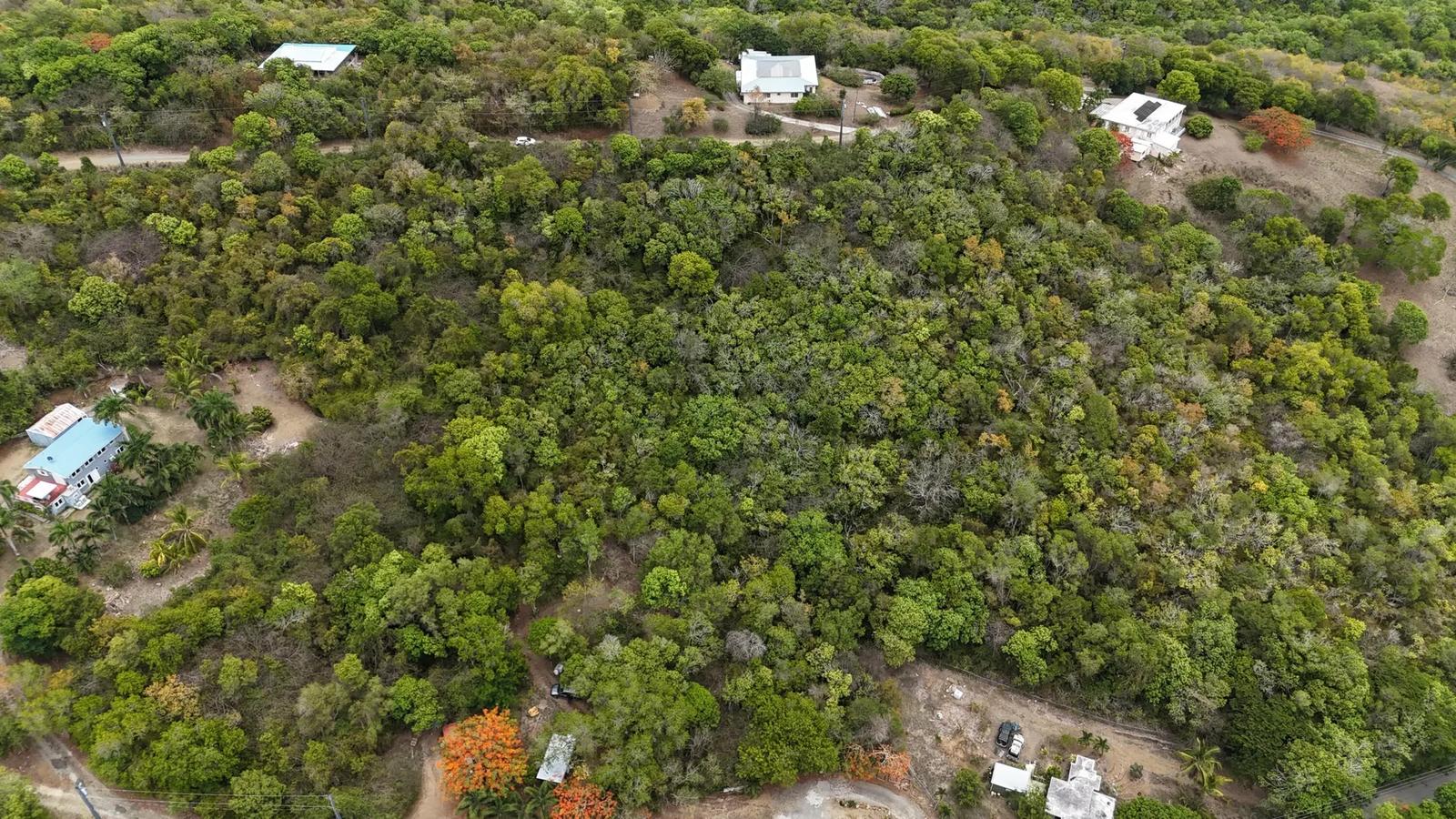 1.96 Acre Homesite in Little Fountain, St. Croix — photo 2