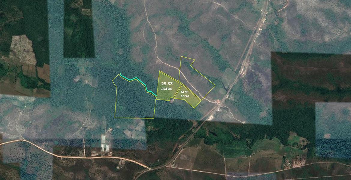 Double Lot on Jenkins Creek — 40 Acres of Fertile Land! — photo 2