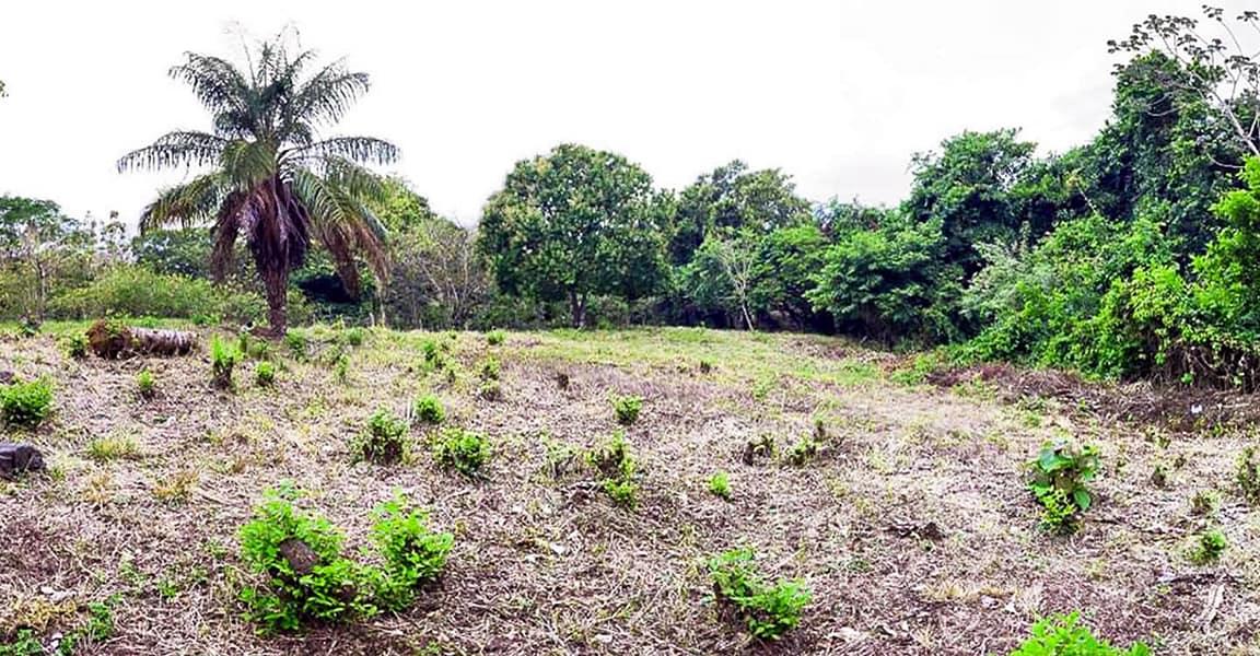 0.34 Acre Lot for Sale, Pedasi, Panama — photo 3