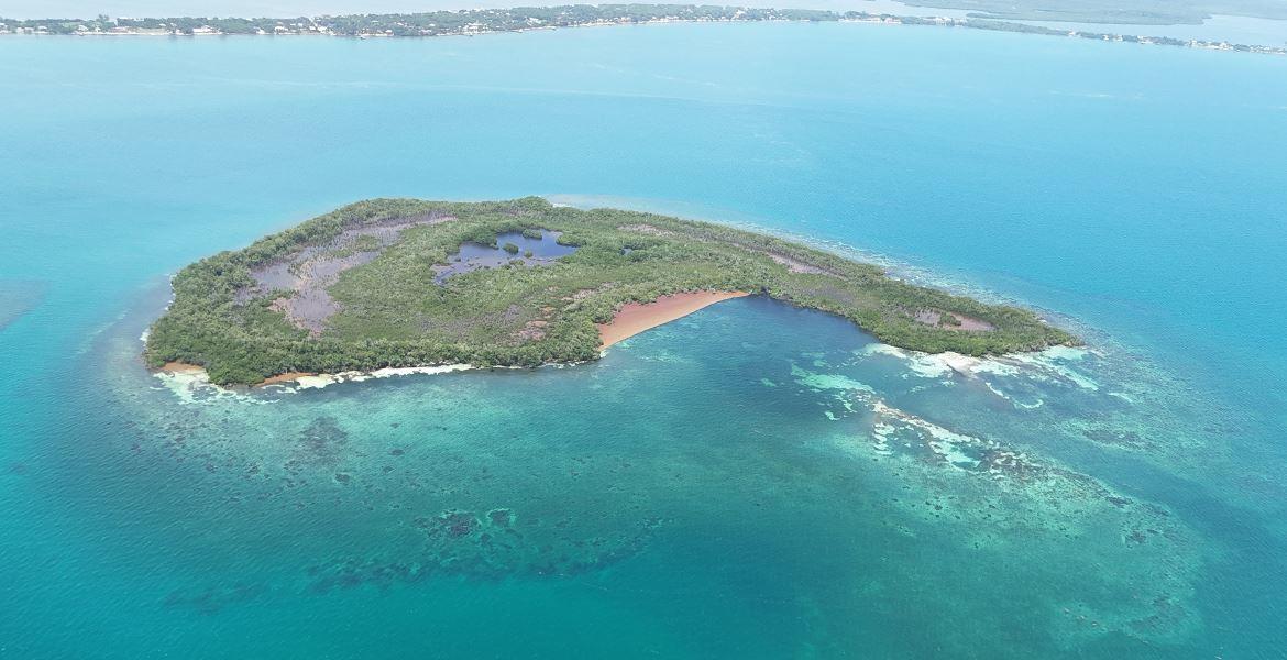 43 Acre Island — Minutes away from Placencia — photo 4