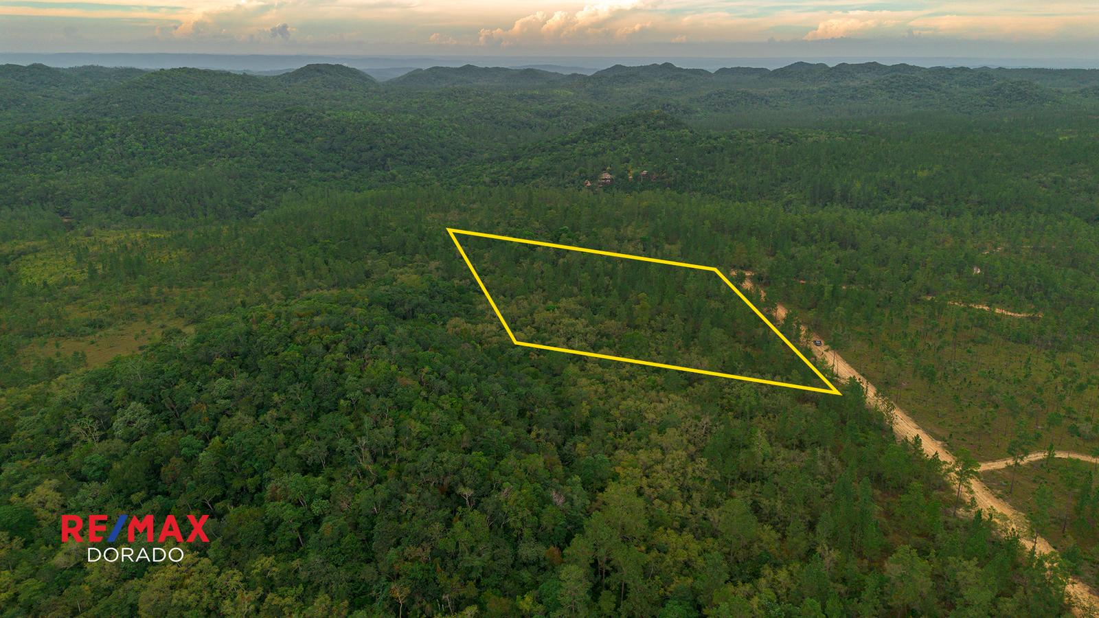 10.22 Acres of Mountain Pine Paradise – Mountain Pine Ridge, Belize — photo 3
