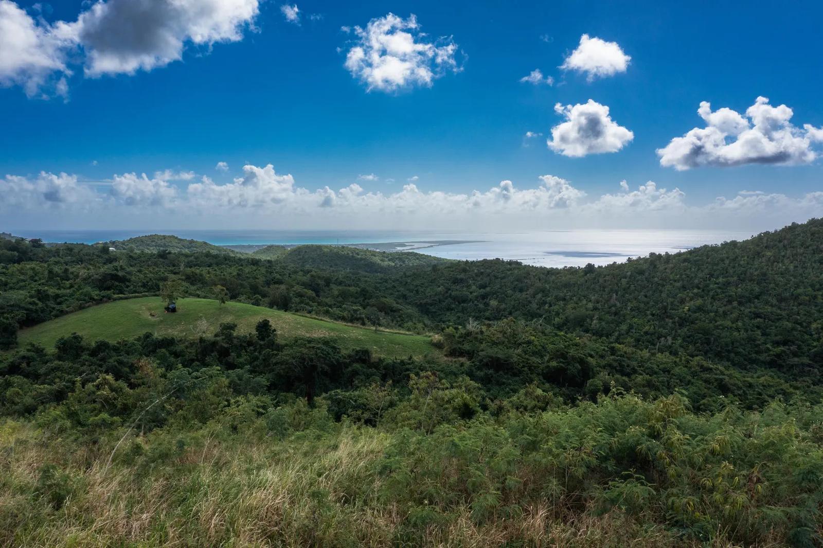 7.27 Acre Lot — photo 2