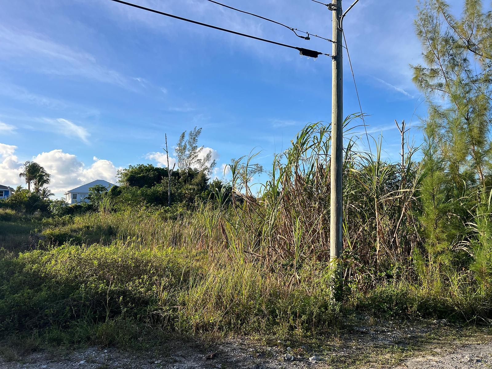 LOT A TWIN LAKES ADDITION — photo 5
