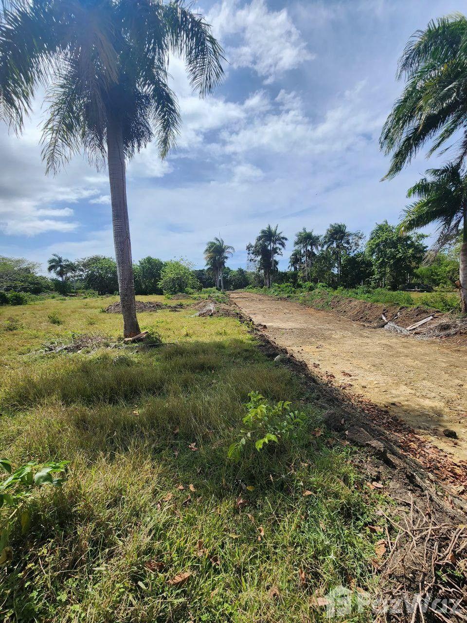 Land for sale in Muñoz, Puerto Plata — photo 1