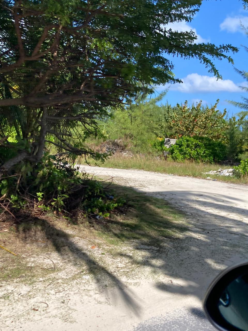 WELLFIELD STREET, Andros, The Bahamas — photo 4