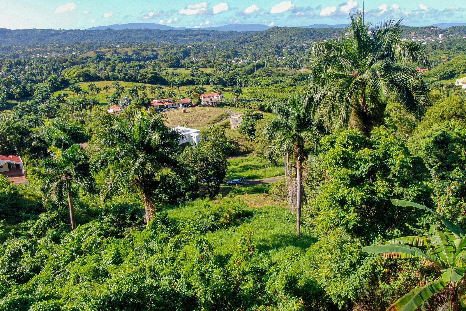 Lot, Terramar Estates, Sosúa, Tropical and Valley Views — photo 1